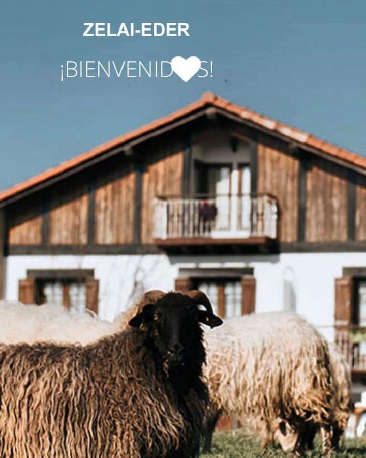 Zelai-Eder Villa San Sebastian Bagian luar foto